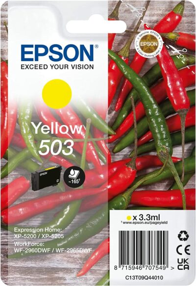 503Y